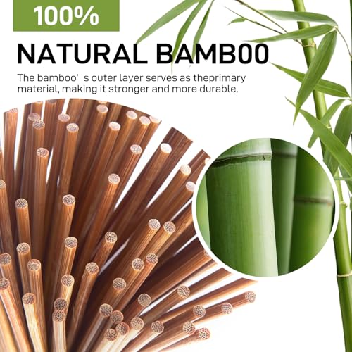 100-Pack 6-Inch Heavy-Duty Bamboo Skewers - Unbleached & Eco-Friendly