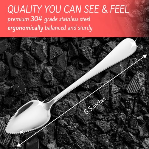 Grapefruit Spoons – Serrated Stainless Steel Fruit Spoons, 2-Pack