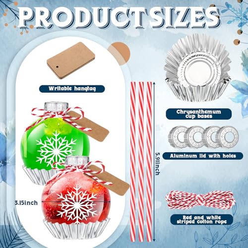 12Pcs Christmas Plastic Ball Bottle Decorations for Drinks - Snowflake Pattern