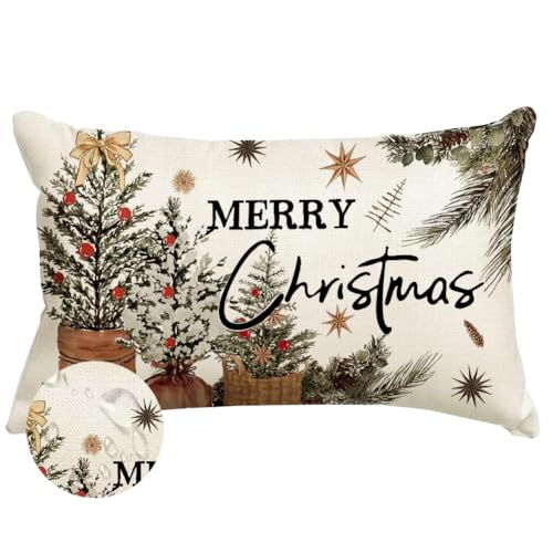 ARGOOGF Waterproof Christmas Outdoor Pillow Cover 12x20 Inches - Eucalyptus Berries Decor, Pack of 1