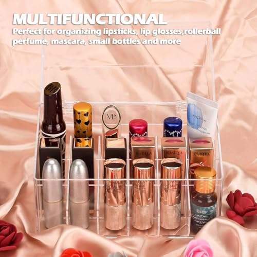 Acrylic Lipstick Organizer with 18 Slots and Dust Cover