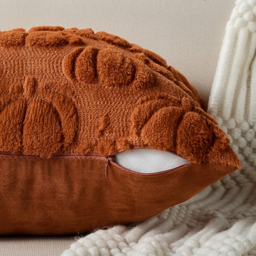 DFXSZ Rust Fall Throw Pillow Covers 18x18, Soft Plush Set of 2