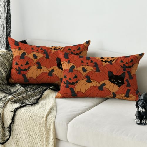 AVOIN colorlife Halloween Pumpkin Black Cat Throw Pillow Covers, 12x20, Set of 2
