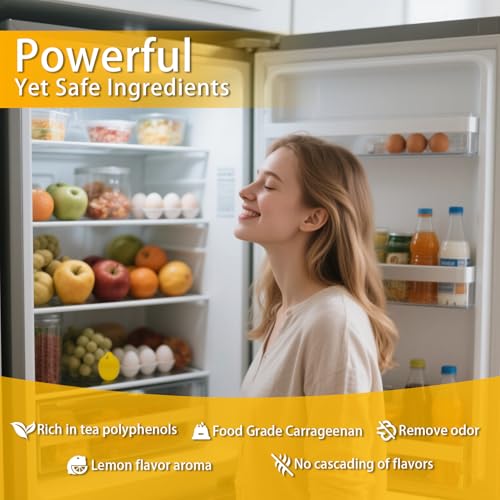 WeelenkEco Refrigerator Deodorizer - 4 Pack Lemon Scent Odor Absorber