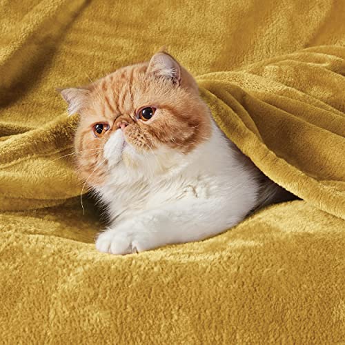 Bedsure GentleSoft Fleece Blanket Twin Size Yellow Gold - 300GSM Cozy Soft Warm Blanket 60x80 inches