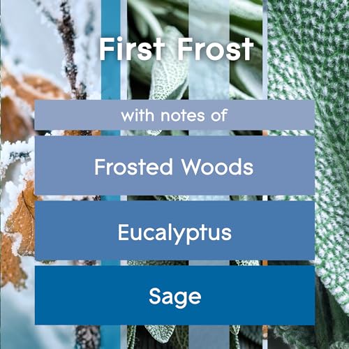 Glade PlugIns Scented Oil Refill, First Frost, Essential Oils, 2 Count