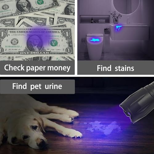 3 in 1 LED Rechargeable Flashlight, LED Small Flashlight with Memory Function, Super Bright Zoomable Red Lens Light 395 NM Black Lights Flashlights with USB C Charging for Camping Hiking Home