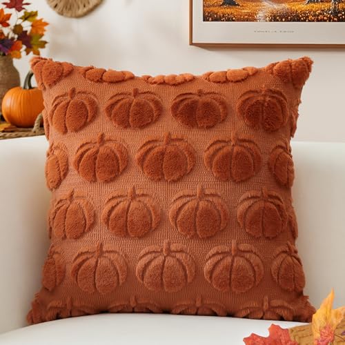 OTOSTAR Pumpkin Fall Pillow Cover 20x20 Inch Rust Plush Faux Fur