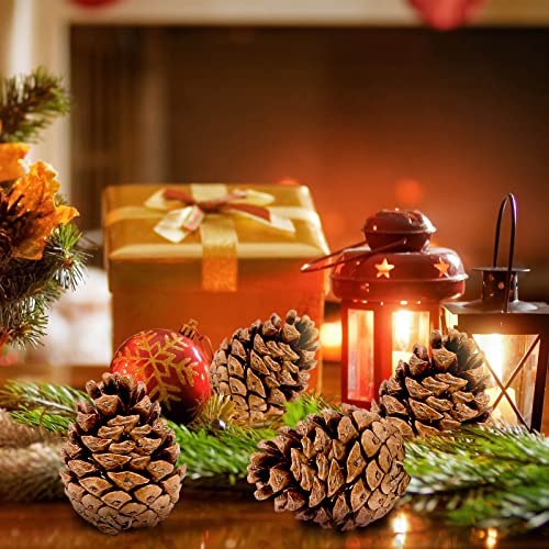 Natural Pine Cones for Christmas Crafts & Decorations - 24 Pack, 1.57-1.96 Inch, Variation: Nature