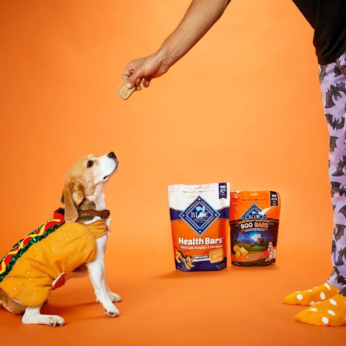 Blue Buffalo Crunchy Dog Biscuits - Oven-Baked Health Bars with Pumpkin & Cinnamon | 16 oz Bag