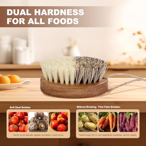 DEBETOOL 2-Pack Wooden Vegetable Brush Scrubber with Dual Bristles