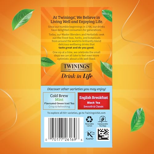 Twinings Mixed Berries Cold Brew Iced Tea Bags - 20 Count