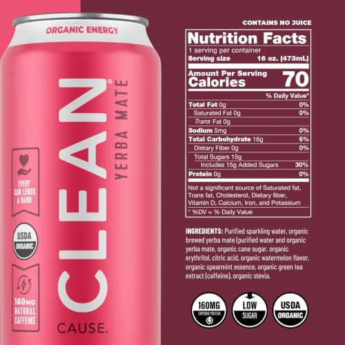 Clean Cause Organic Sparkling Watermelon Mint Yerba Mate - 16 oz
