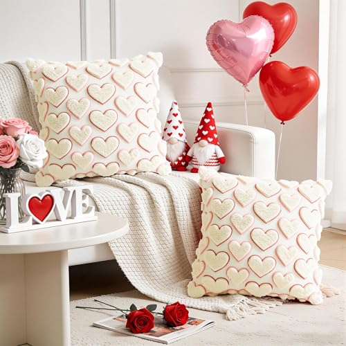 Valentine's Day Pillow Covers Set of 2 - 18x18 Inch Red Pink Heart Design