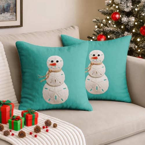 Emvency Snowman Sand Dollar Throw Pillow Cover 18x18