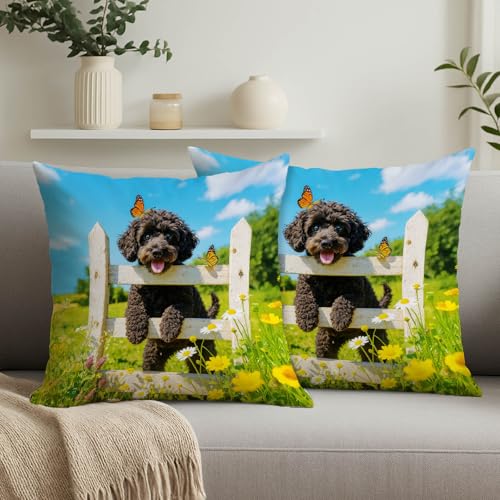 Spring Pillow Covers 18x18 Set of 2 Poodle Floral Satin Cushion Cases