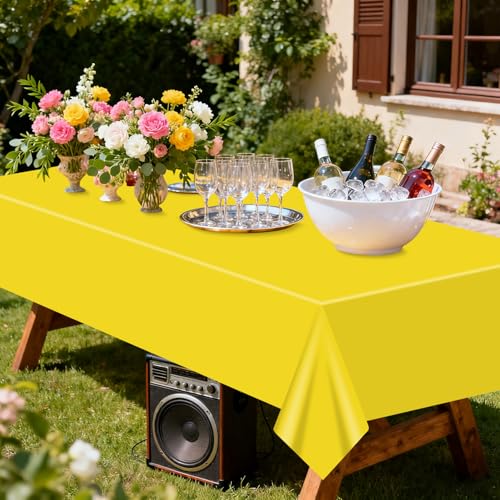 2 Pack Check Tablecloths for Story Birthday Parties, 87 x 51 inch