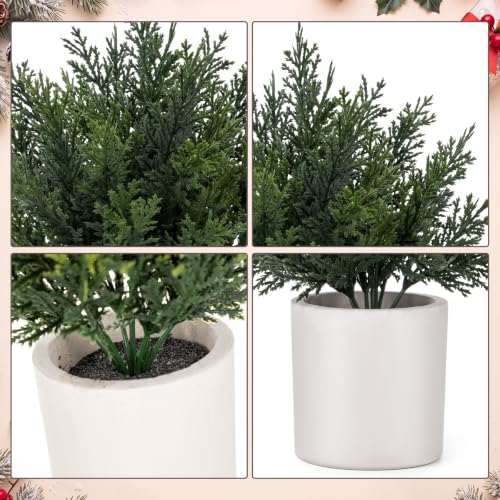 8 Pack Christmas Small Artificial Cedar Bush Tree - White Variation