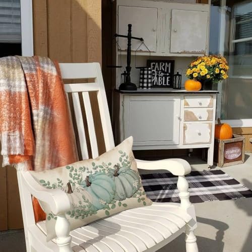 RABUSOFA Fall Pillow Cover 12x20 Aqua Pumpkin Autumn Decor - Multicolor