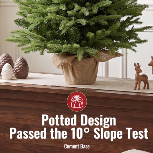 3ft Pre-Lit Nordic Fir Tabletop Christmas Tree with Pot - Warm White LEDs, Timer, Burlap Base