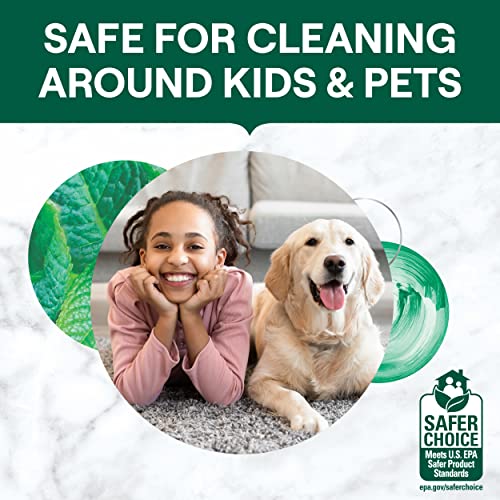 Seventh Generation Multi-Surface Cleaning Wipes, Garden Mint, 70 Ct (6-Pack)