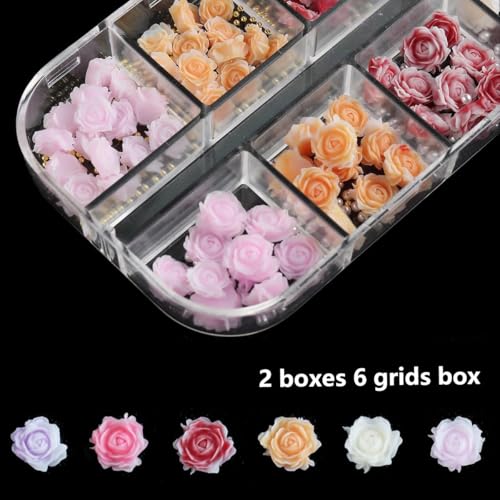 FSpronail 3D Resin Rose Camellia Flower Nail Art Charms 2 Boxes