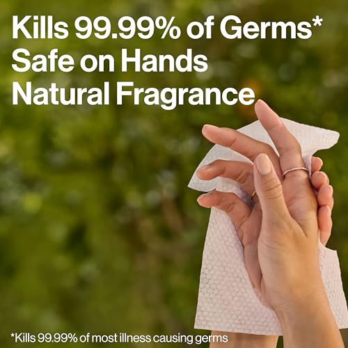 The Honest Company Antibacterial Sanitizing Wipes - 15 Ct, Grapefruit Grove