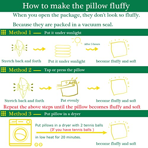 Hypoallergenic Throw Pillow Insert - Rectangle Lumbar Cushion, 12 x 20 Inches