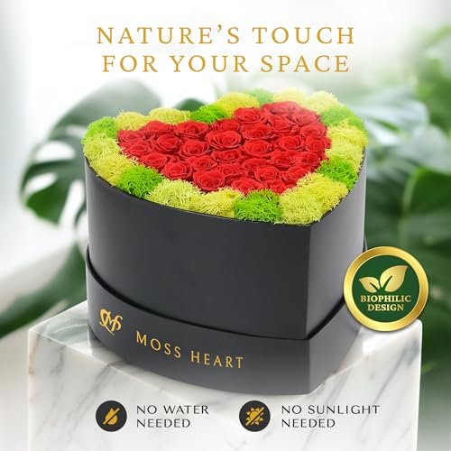 Moss Heart 30 Preserved Roses in Heart-Shaped Box, Real Forever Roses Home Décor Arrangement, Long-Lasting 1+ Year, No Watering, Valentine’s Day, Birthday for Wife, Girlfriend