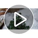 Mini Christmas Tree Set - 6 Pcs 7.87 Inch Tabletop Pine Decorations