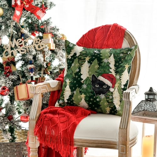 Black Cat Snowflake Throw Pillow Cover, 18 x 18 Inch - Holiday Decoration