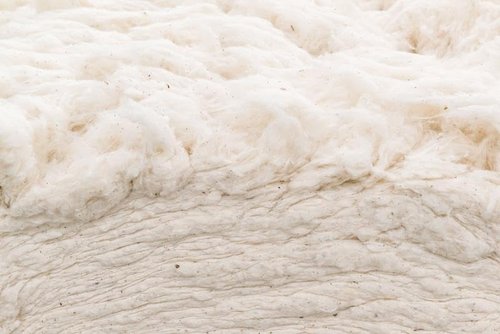 Grown In The USA Raw Cotton Stuffing - Natural, Eco-Friendly Batting | 3 lb Size