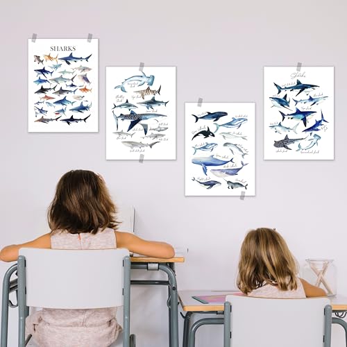 Shark and Whale Ocean Wall Art Prints Set of 4 - 12x16 Unframed