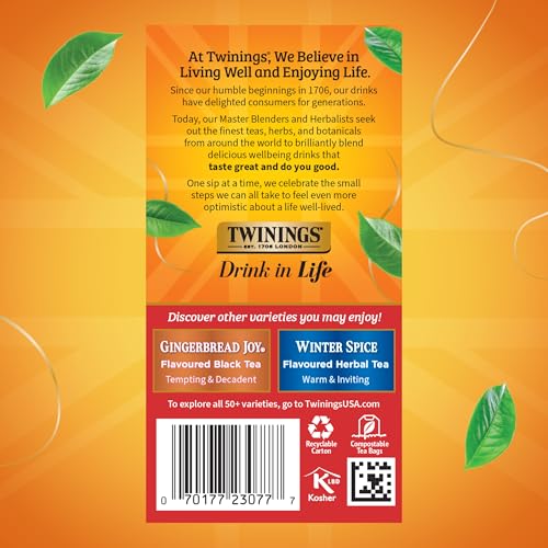 Twinings Christmas Black Tea, Spiced Holiday Blend, 20 Count (Pack of 6)