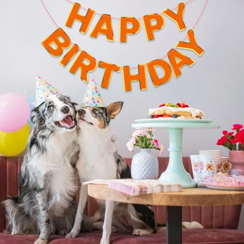 Orange Happy Birthday Banner Sign with Golden Border - Kids Party Decorations