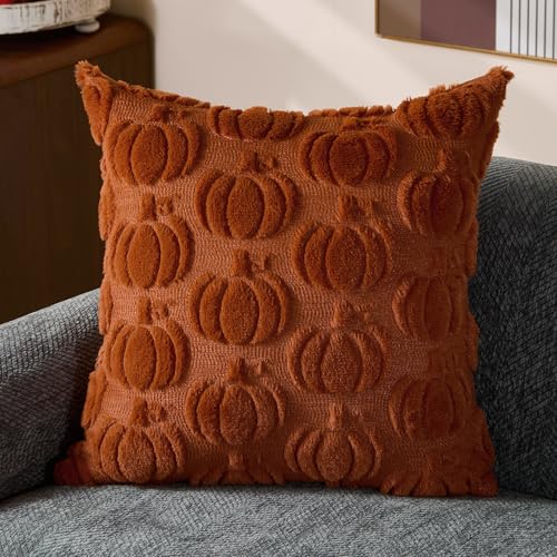 DFXSZ Rust Fall Pumpkin Throw Pillow Covers, 18x18 Soft Plush Set of 2