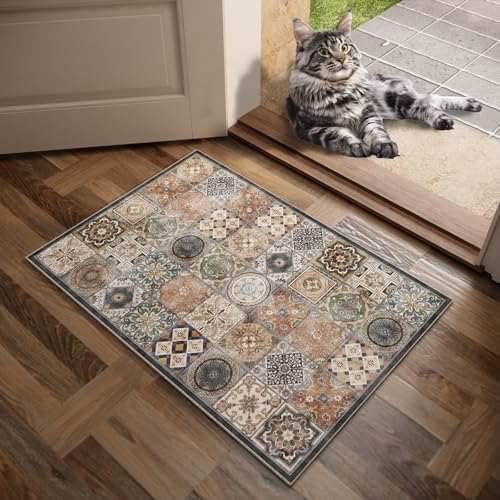 NoiFamo 2x3 Washable Area Rug, Boho Non-Slip Low Pile Entryway Door Mat