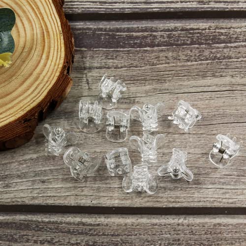 BokWin Mini Clear Claw Hair Clips 10mm Small Plastic Hair Jaw Clips 24 Pcs