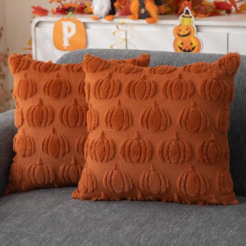 Fall Pillow Covers Set of 2 | 18x18 Rust Pumpkin Plush Cases