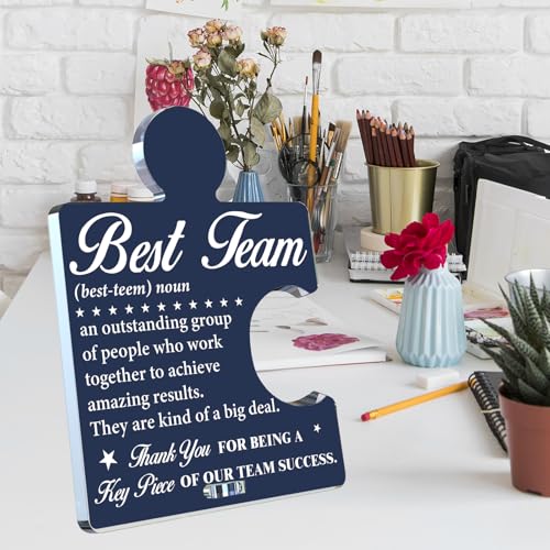 Team Appreciation Acrylic Puzzle Sign - Office Desk Decor - Variation T