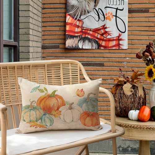 RABUSOFA Fall Lumbar Pillow Covers 12x20, Set of 2 Pumpkin Farmhouse Decor