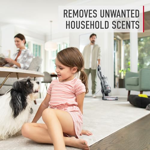 Hoover Carpet and Room Refresher Powder - 32 oz Odor Remover