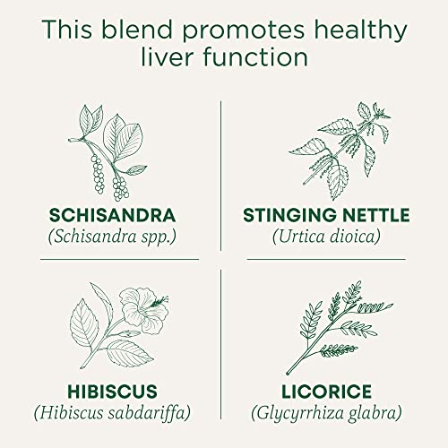 Organic EveryDay Detox Tea with Schisandra Berry - 16 Bags
