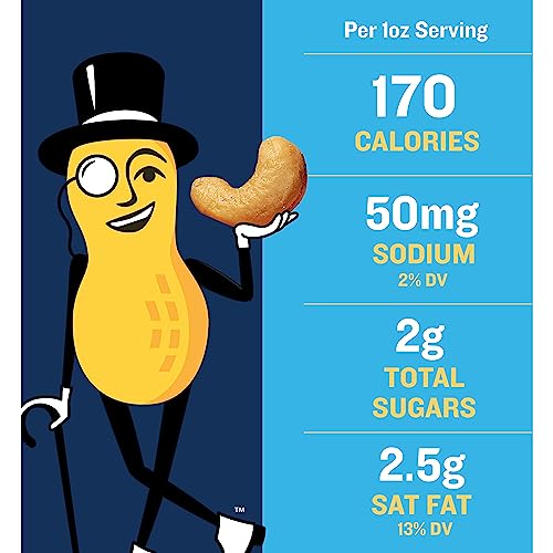 PLANTERS Lightly Salted Cashews - Protein Snack, 4 Pack