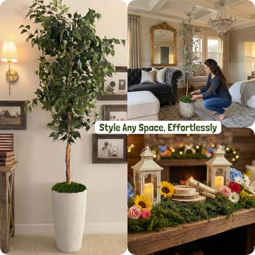 8oz Realistic Fake Green Moss for Crafts & Indoor Plants