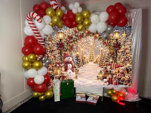 7x5FT Christmas Winter Wonderland Backdrop for Holiday Photos and Parties