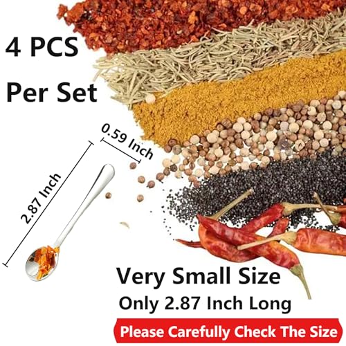 Asanta 2.87-Inch Tiny Stainless Steel Spice Spoons - 4 Piece Set