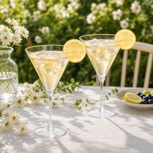 Disposable 10oz Martini Glasses Set with Gold Rim - 12 Pcs