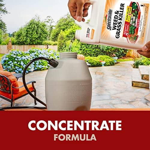 Spectracide Weed & Grass Killer Concentrate - 1 Gallon for Driveways & Walkways
