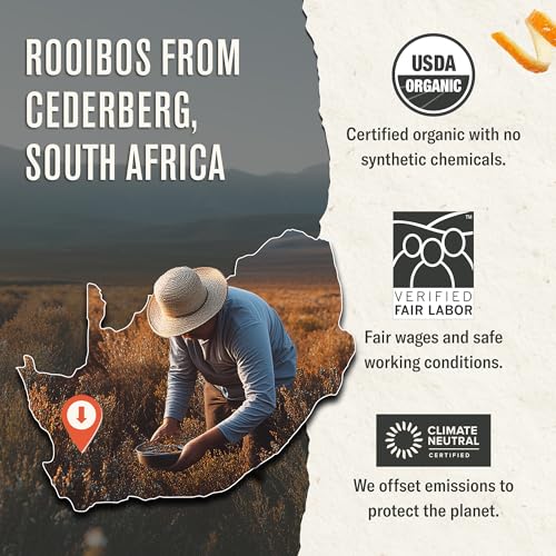 Numi Organic Rooibos Chai Tea - 100 Caffeine-Free Herbal Bags